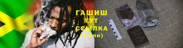 дживик Вязьма