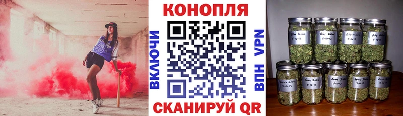 Шишки марихуана VHQ  Купить закладки  Ряжск 
